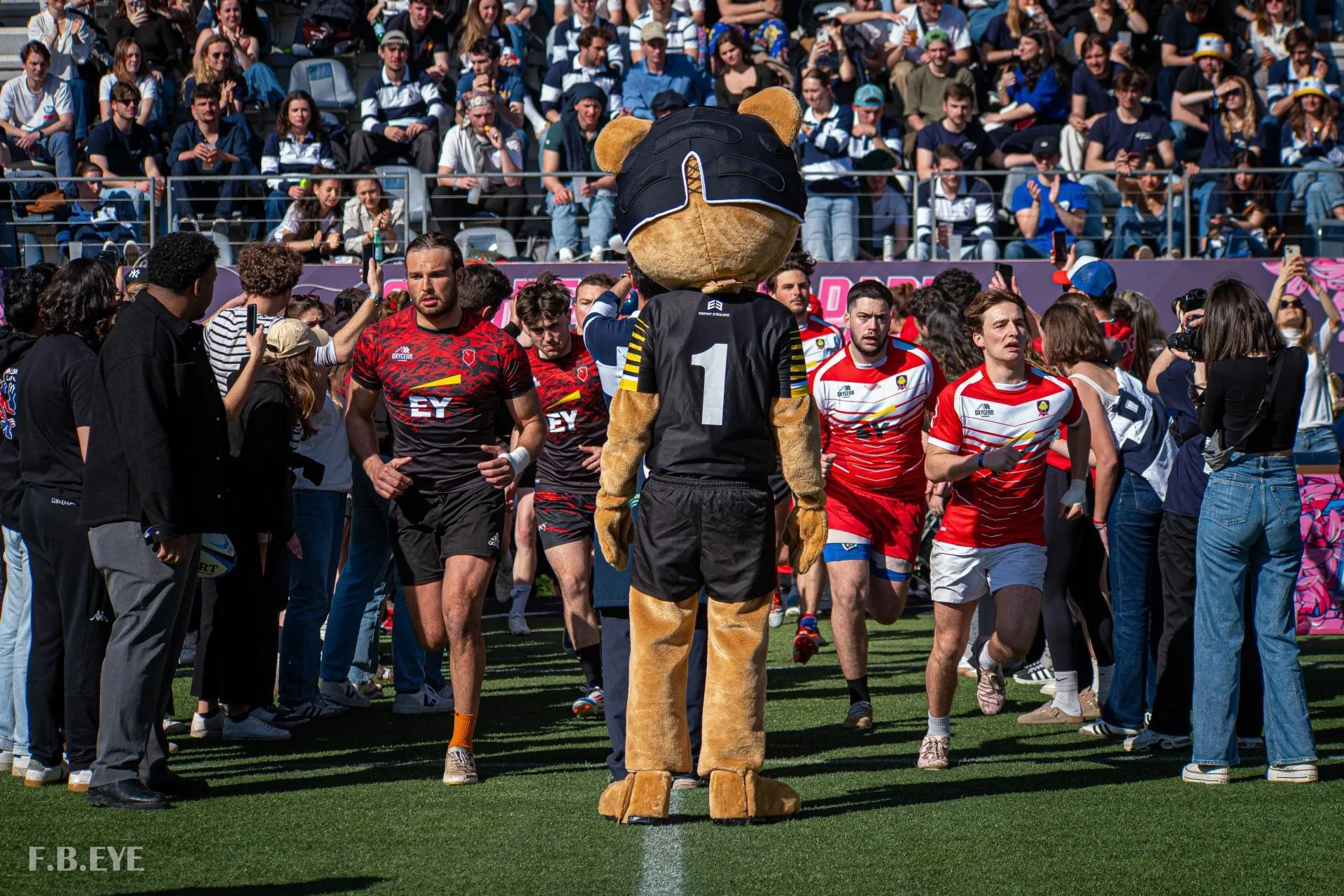 Entrée des équipes sur le terrain du Matmut Stadium